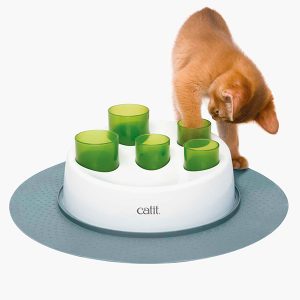 Kitty power paws clearance sky condo